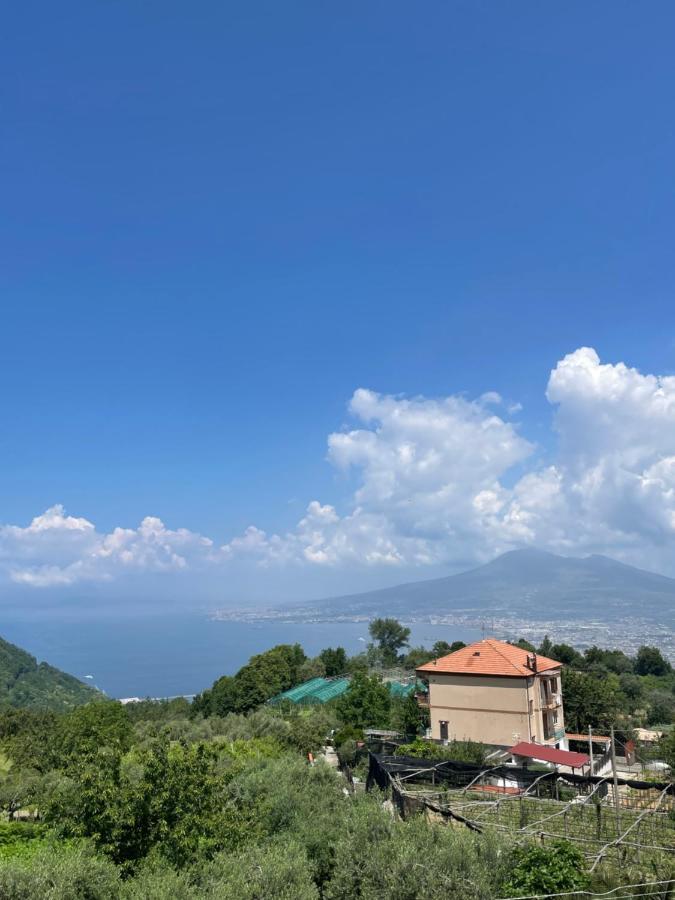 Villa Marilu Pimonte Ngoại thất bức ảnh